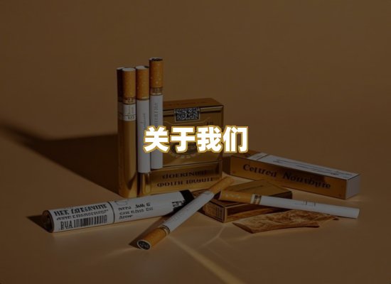 关于我们